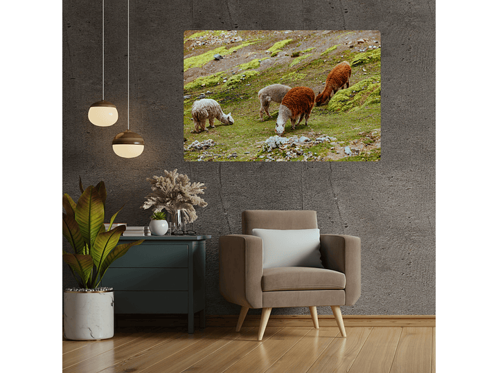 Alpacas camino a Vinicunca, Departamento del Cuzco, Perú 2