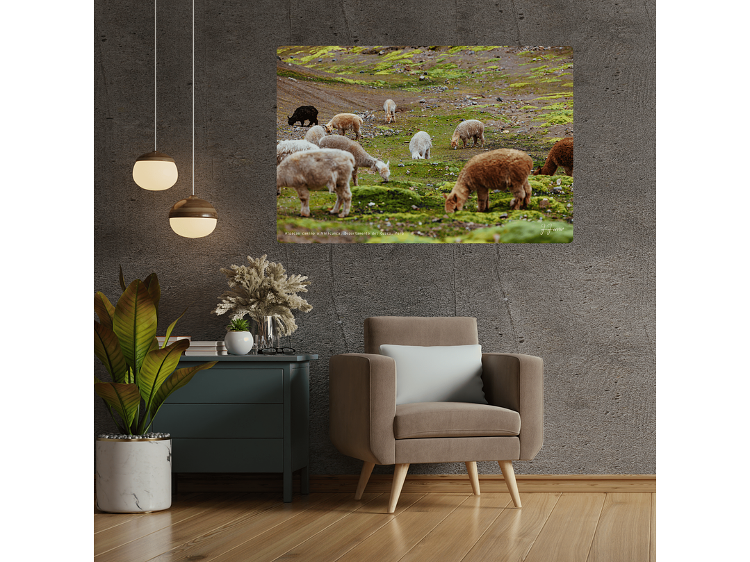 Alpacas camino a Vinicunca, Departamento del Cuzco, Perú 2