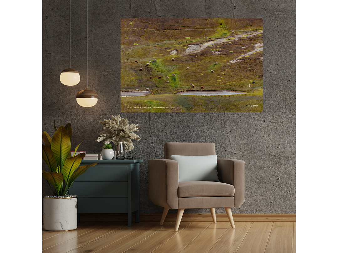 Alpacas camino a Vinicunca, Departamento del Cuzco, Perú 2