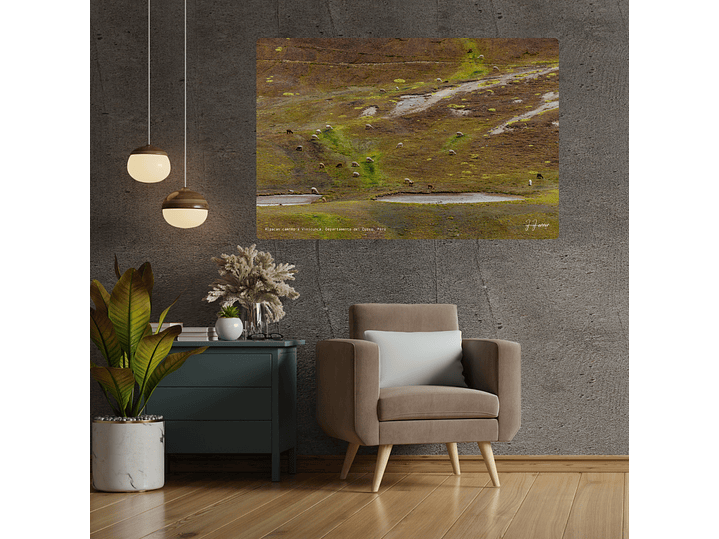 Alpacas camino a Vinicunca, Departamento del Cuzco, Perú 2