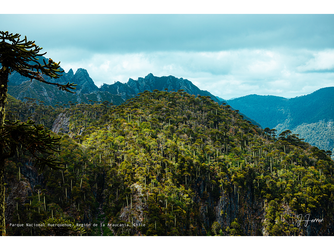 Parque Nacional Huerquehue, Región de la Araucanía, Chile 1