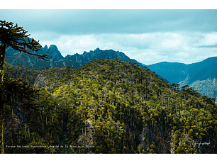 Parque Nacional Huerquehue, Región de la Araucanía, Chile