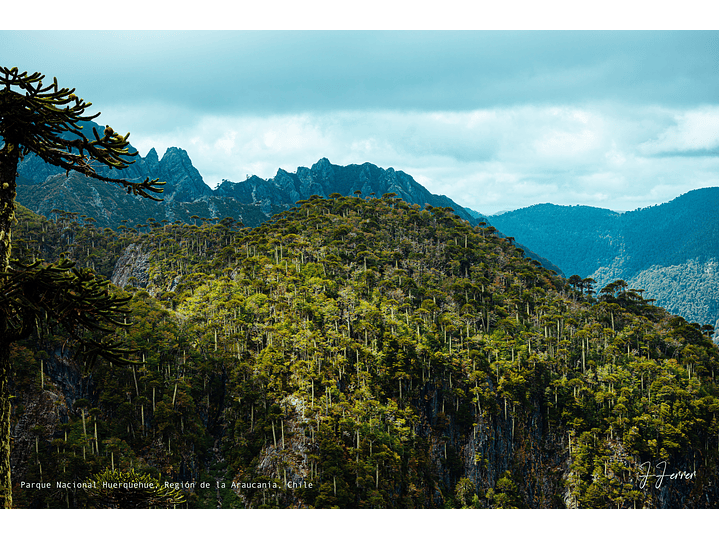 Parque Nacional Huerquehue, Región de la Araucanía, Chile 1