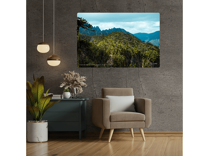 Parque Nacional Huerquehue, Región de la Araucanía, Chile 2