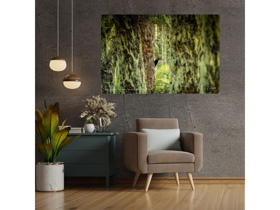 Parque Nacional Huerquehue, Región de la Araucanía, Chile 2