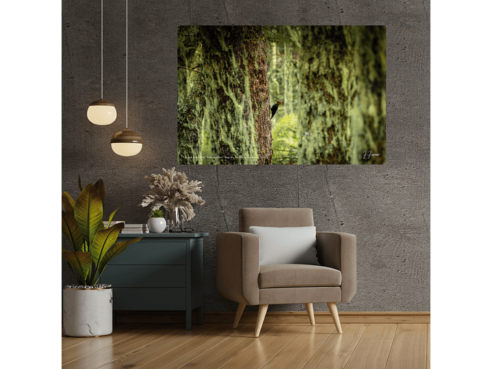 Parque Nacional Huerquehue, Región de la Araucanía, Chile 2