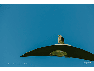 Tiuque, Región de la Araucanía, Chile