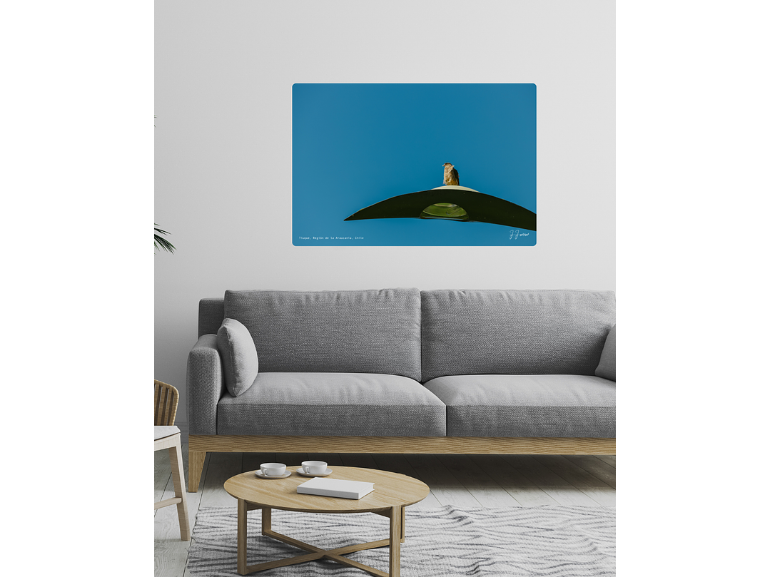 Tiuque, Región de la Araucanía, Chile 2