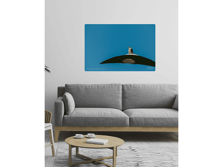 Tiuque, Región de la Araucanía, Chile 2