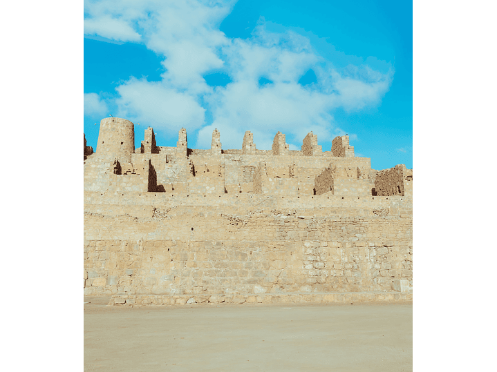 Ruinas de Huanchaca, Región de Antofagasta, Chile 5