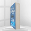 Deception Point | Dan Brown 2