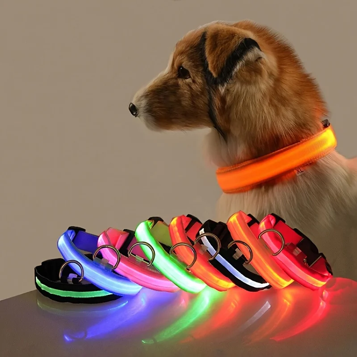 Guinzaglio per cani in nylon LED di sicurezza notturna lampeggiante che si illumina al buio Collare per cani da compagnia fluorescente luminoso 1