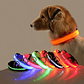 Guinzaglio per cani in nylon LED di sicurezza notturna lampeggiante che si illumina al buio Collare per cani da compagnia fluorescente luminoso - thumbnail 1