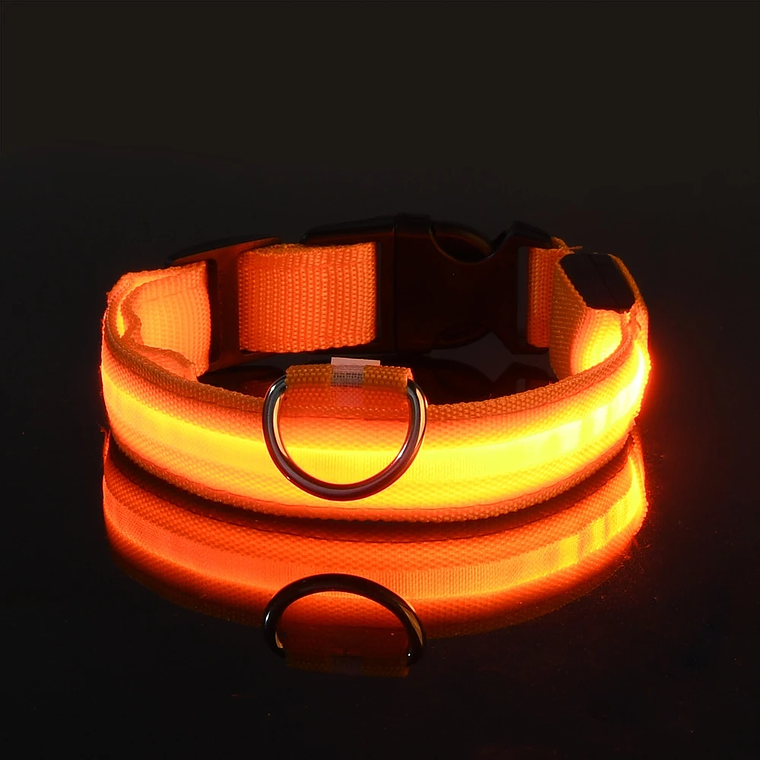 Guinzaglio per cani in nylon LED di sicurezza notturna lampeggiante che si illumina al buio Collare per cani da compagnia fluorescente luminoso 2