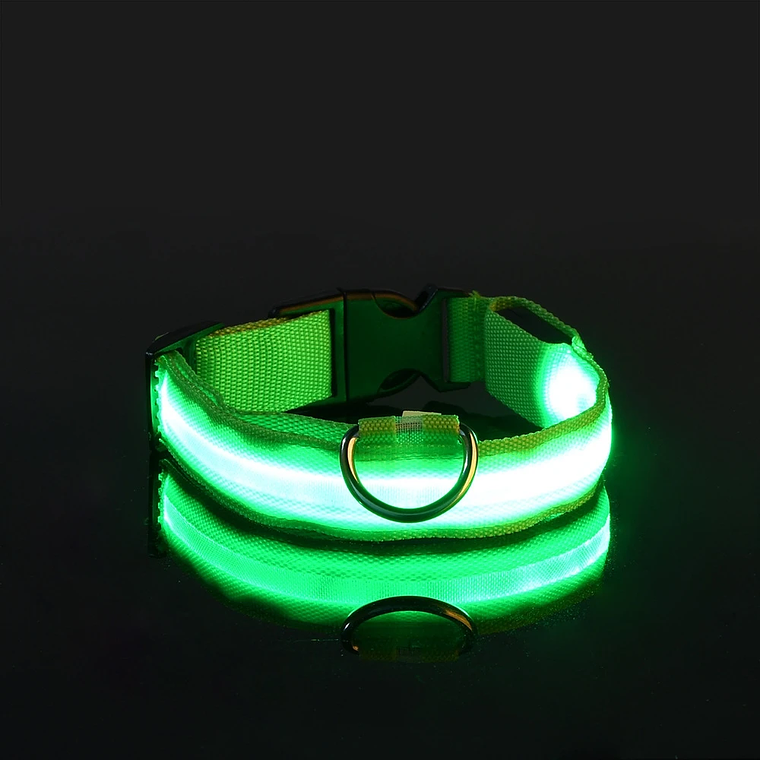 Guinzaglio per cani in nylon LED di sicurezza notturna lampeggiante che si illumina al buio Collare per cani da compagnia fluorescente luminoso 4