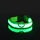 Guinzaglio per cani in nylon LED di sicurezza notturna lampeggiante che si illumina al buio Collare per cani da compagnia fluorescente luminoso - thumbnail 4