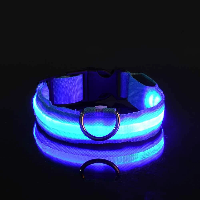 Guinzaglio per cani in nylon LED di sicurezza notturna lampeggiante che si illumina al buio Collare per cani da compagnia fluorescente luminoso 5