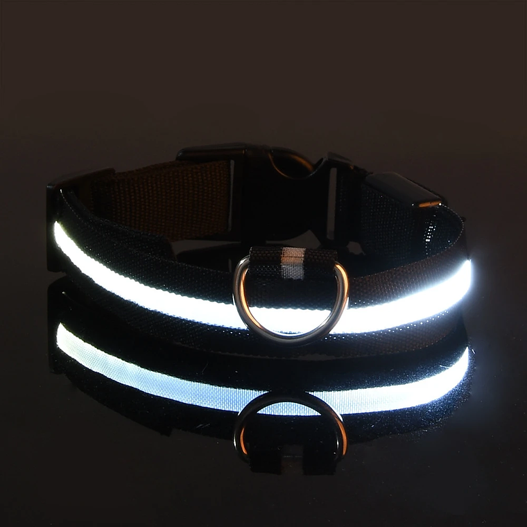 Guinzaglio per cani in nylon LED di sicurezza notturna lampeggiante che si illumina al buio Collare per cani da compagnia fluorescente luminoso 8