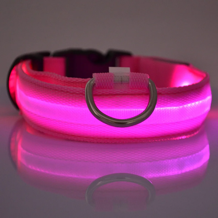 Guinzaglio per cani in nylon LED di sicurezza notturna lampeggiante che si illumina al buio Collare per cani da compagnia fluorescente luminoso 11