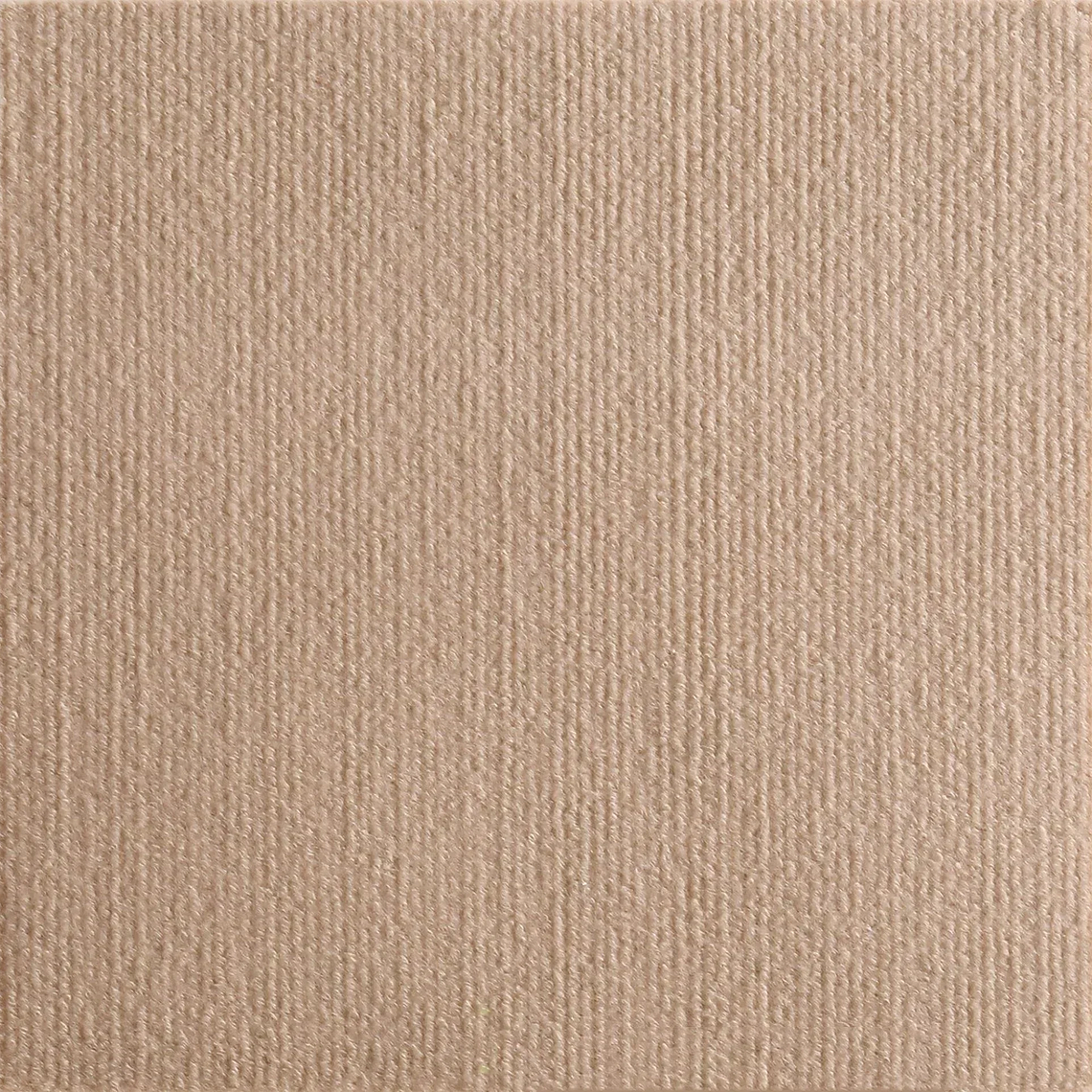 Self-Adhesive Cat Scratching Board Trimmable Cat Carpet Mat Anti Cat Scratcher Furniture Couch Corner Indoor Sofa Wall Protector 4