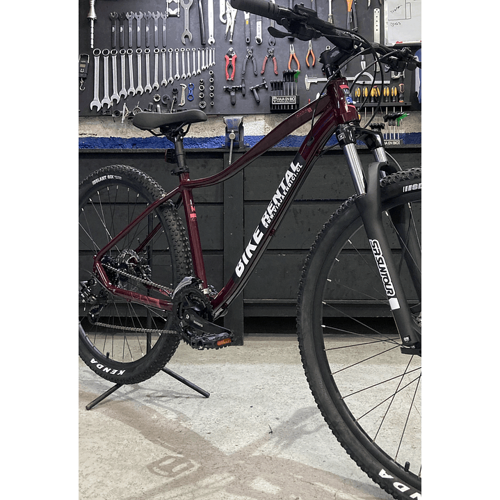 Servicio de Arriendo de Bicicletas 3