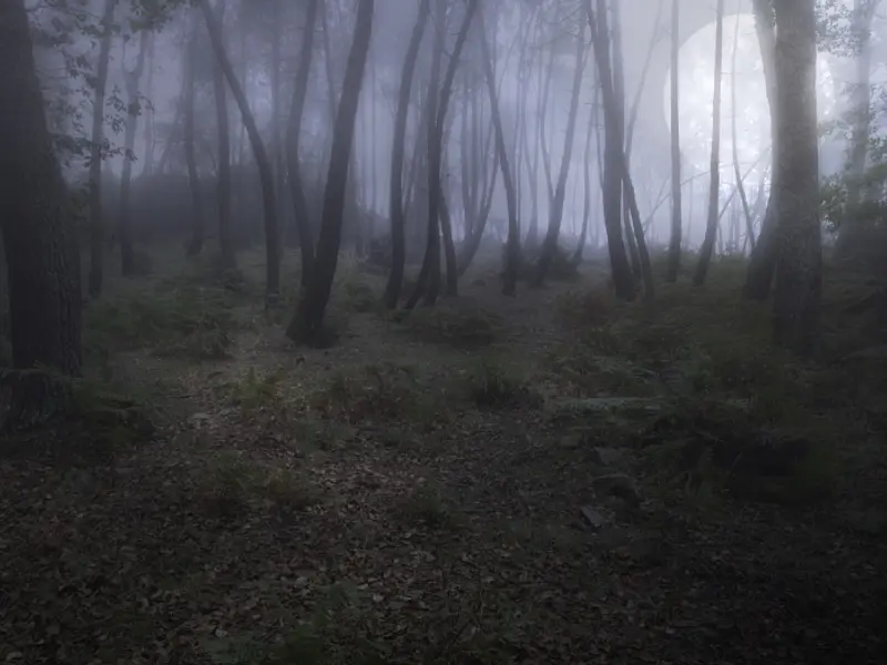 Rituales de la luna