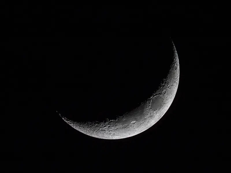 Luna nueva 