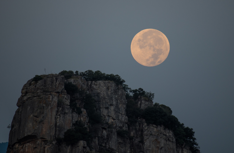  Luna Llena de Ciervo