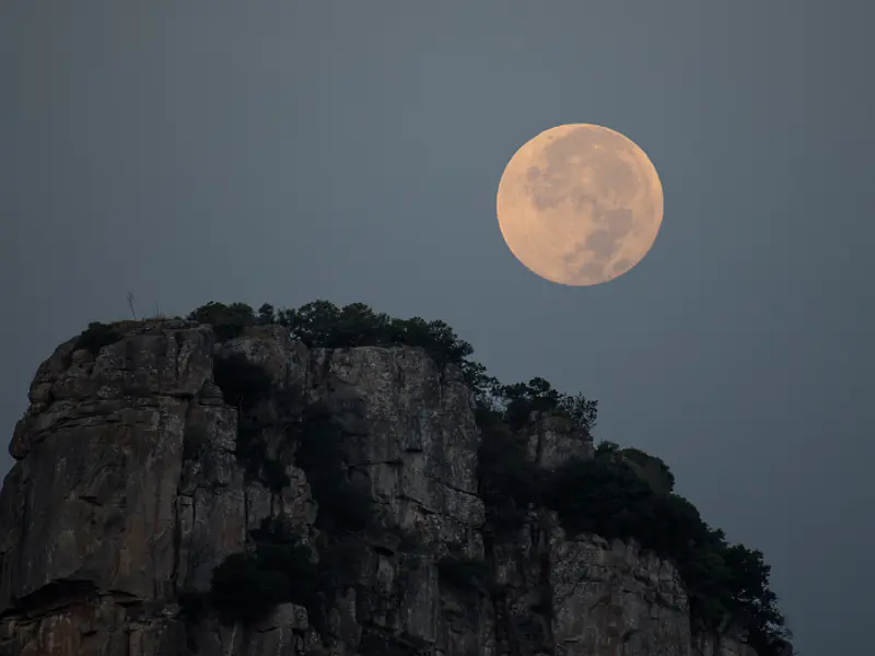  Luna Llena de Ciervo