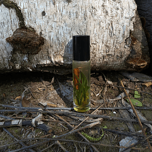 Roll on abre caminos