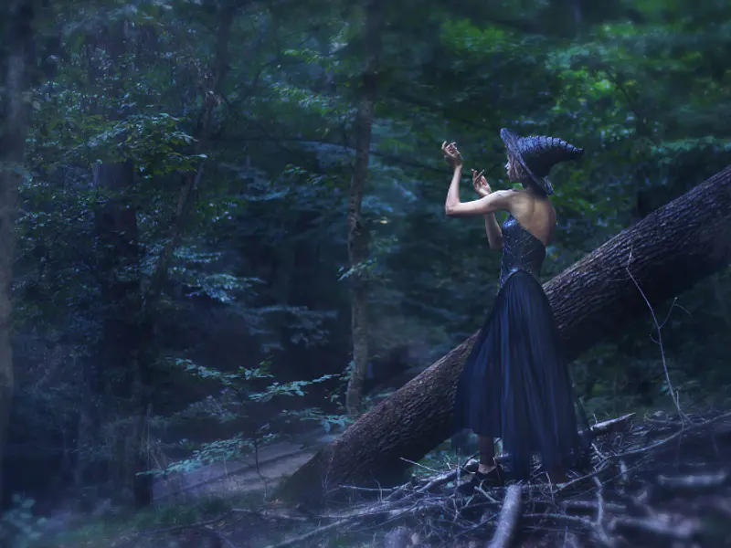 El bosque y las brujas