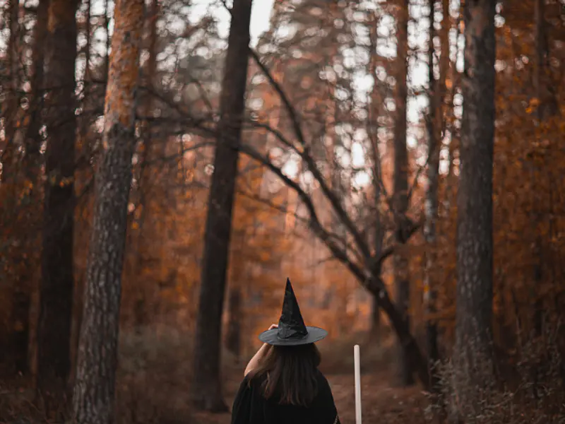 Celebremos Mabon: Equinoccio de Otoño en el Hemisferio Sur