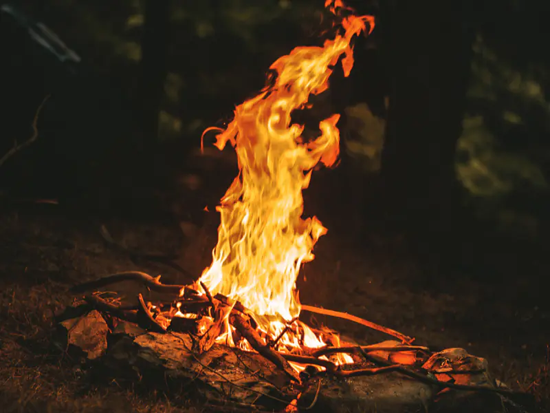 La Magia de la Noche de San Juan: Rituales y Tradiciones