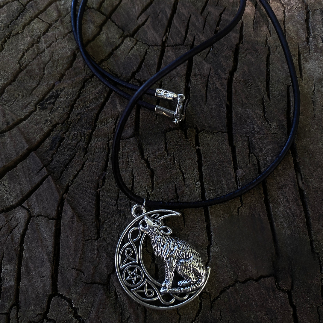 Collar lobo protector 1