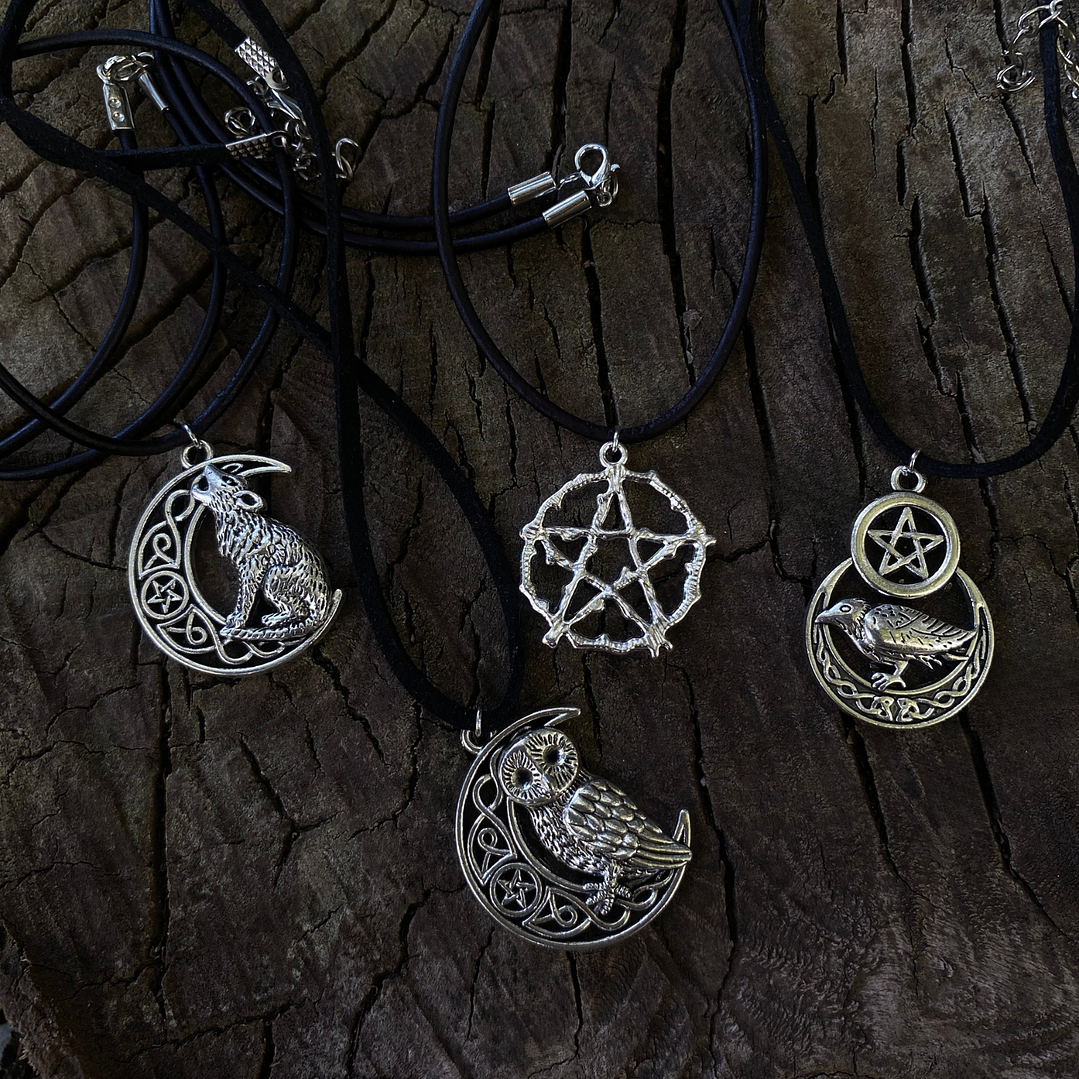 Collar lobo protector 2