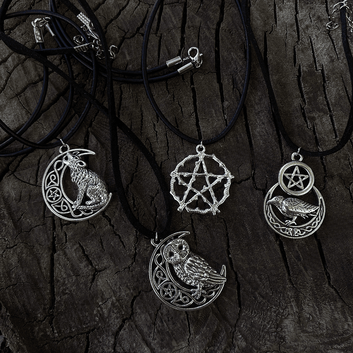 Collar lobo protector 2