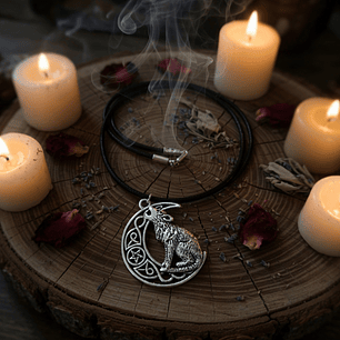 Collar lobo protector