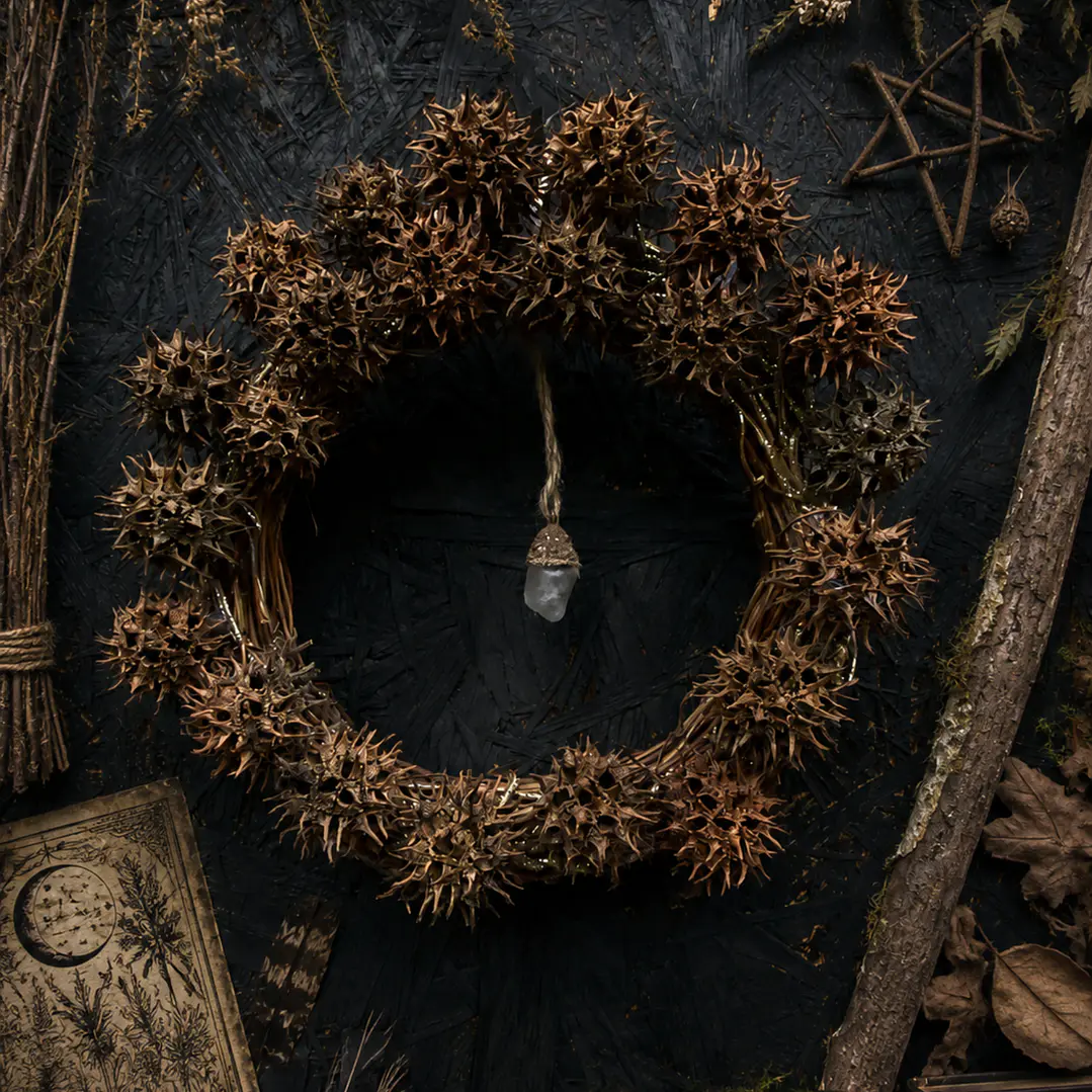 Corona Witch’s burrs 1
