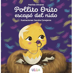 Pollito Orito escapó del nido