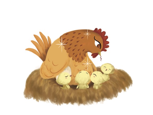 Pollito Orito escapó del nido