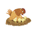 Pollito Orito escapó del nido