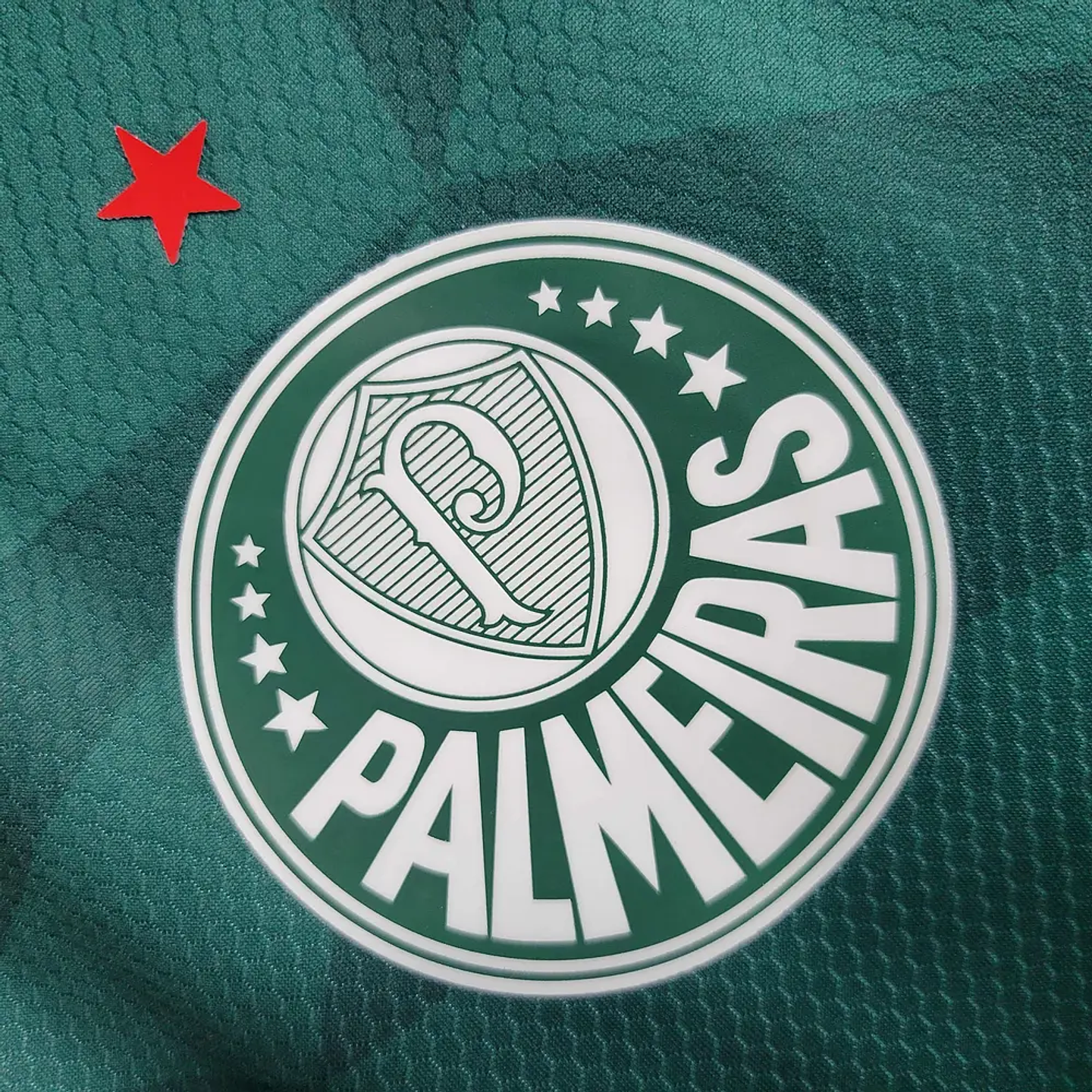 Palmeiras Home 2023/24 3