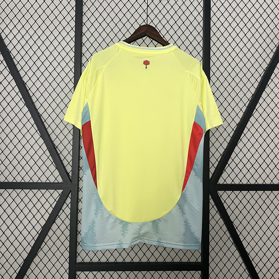 Espanha Equipamento  Alternativo Euro 2024 2