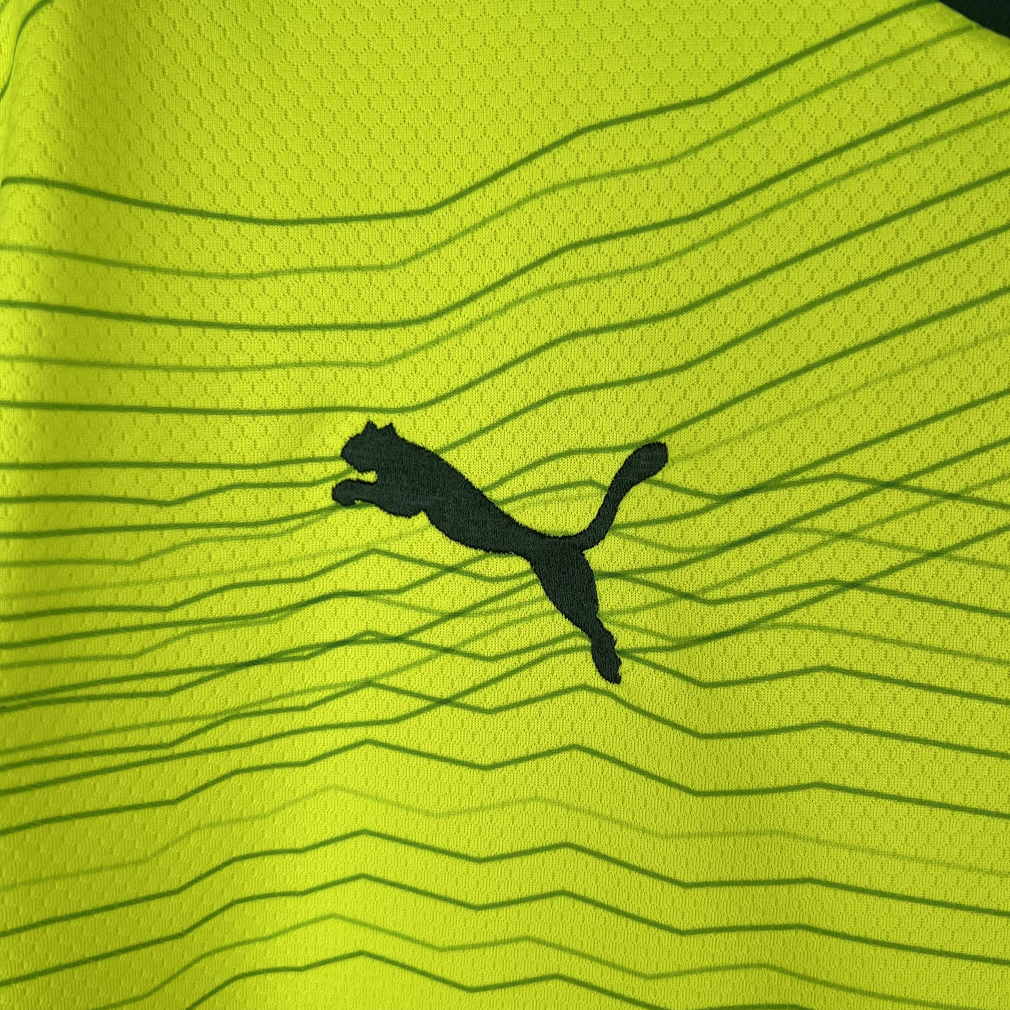 Palmeiras Terceiro Equipamento 2023/24 4