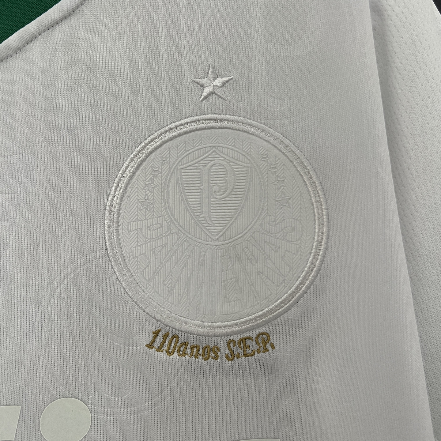 Palmeiras Equipamento Secundário  Edição Especial 2024/25 3