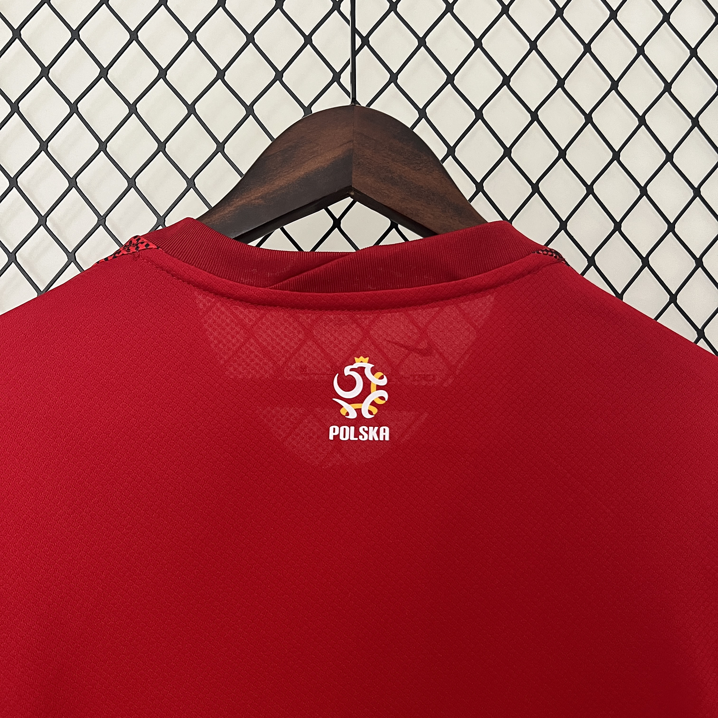 Polónia Equipamento Alternativo Euro 2024 5