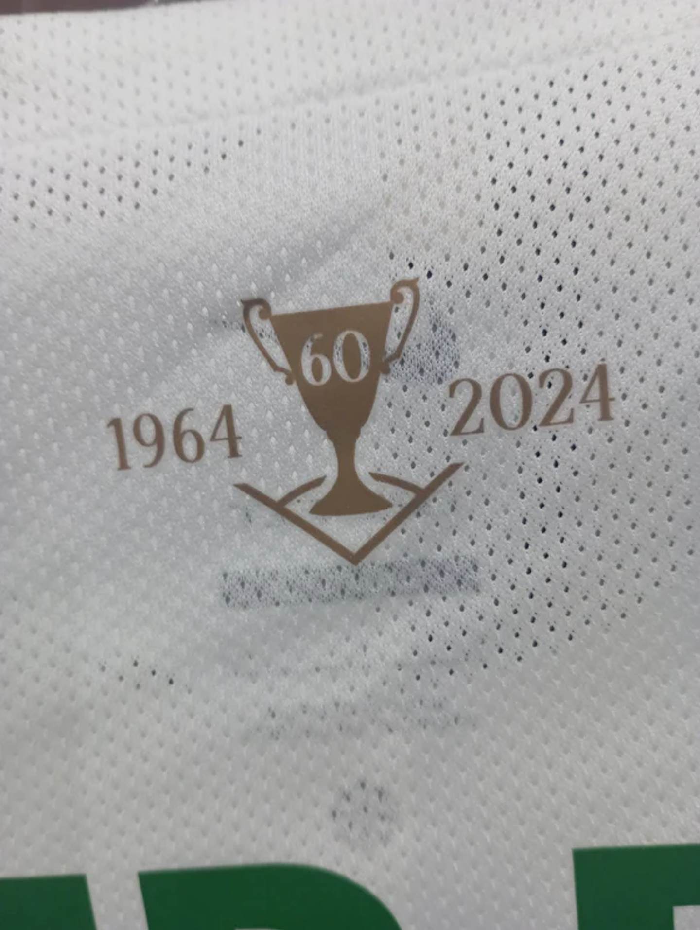 Sporting Equipamento Alternativo 2024/25 8