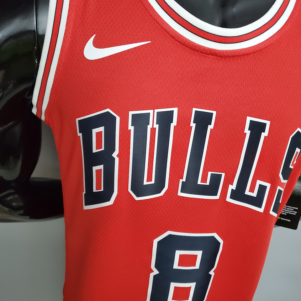 Chicago Bulls 6