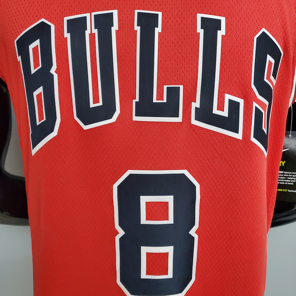 Chicago Bulls 5