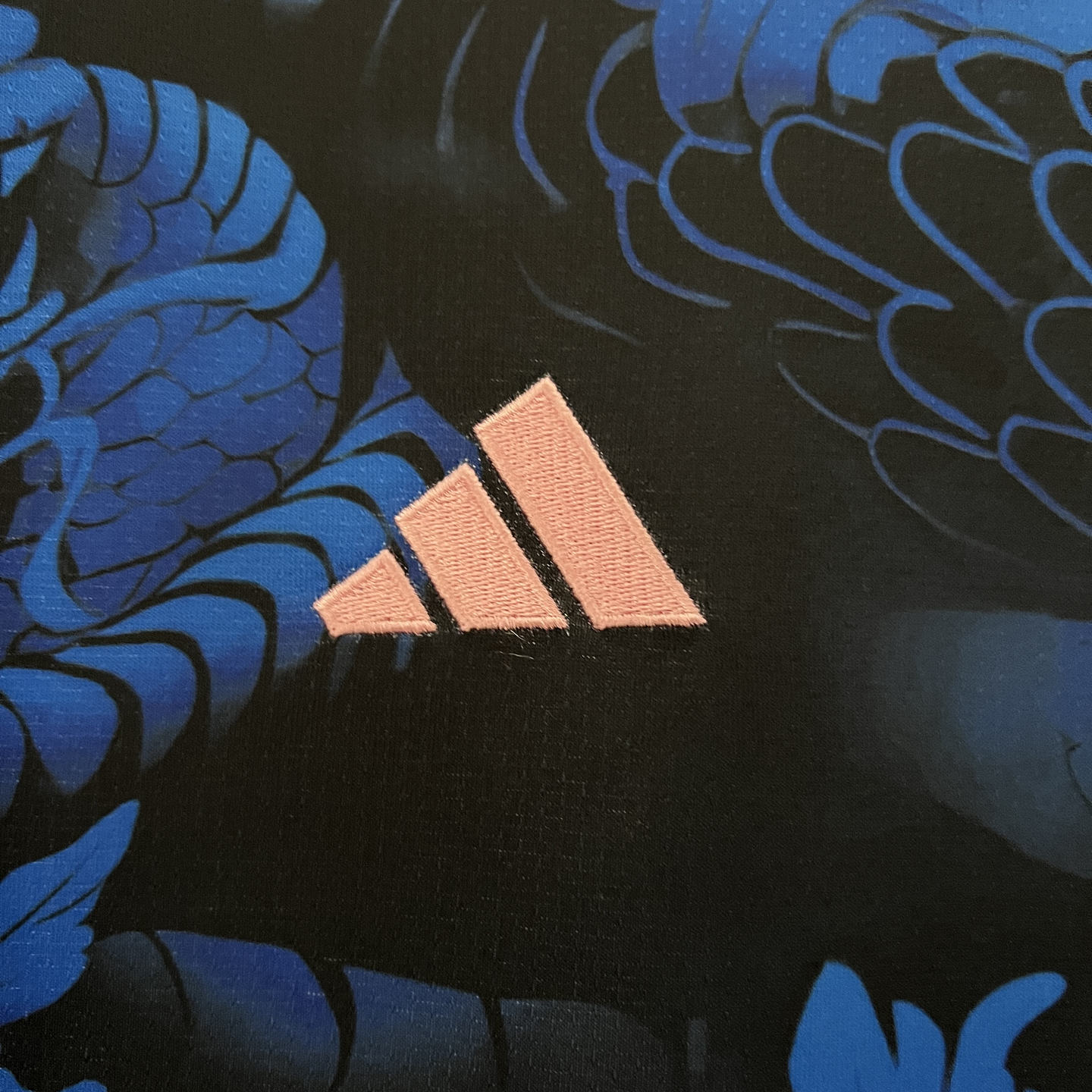 Japão Edição Especial 2024/25 4